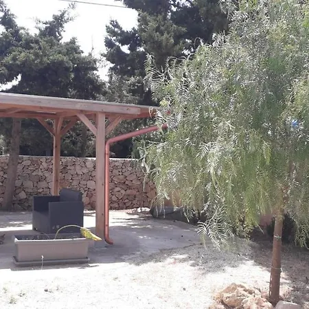 Florence * 托雷拉皮罗