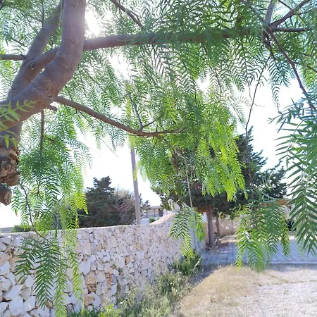 Florence * 托雷拉皮罗