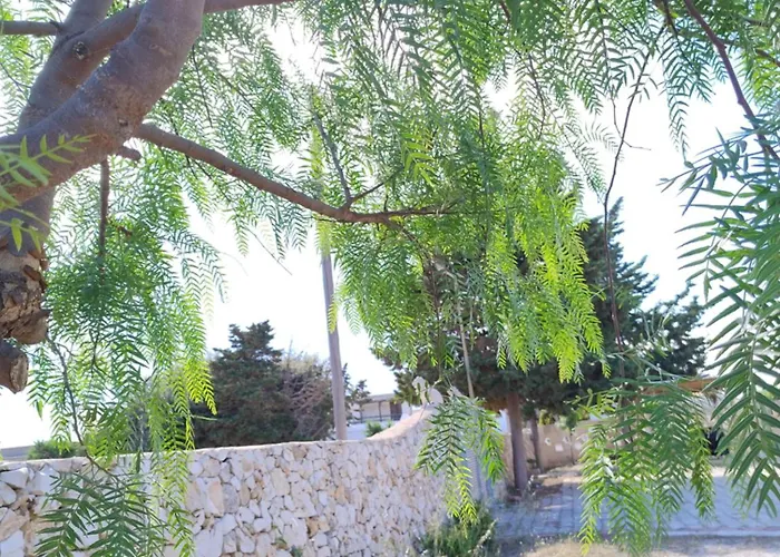 Florence * Torre Lapillo